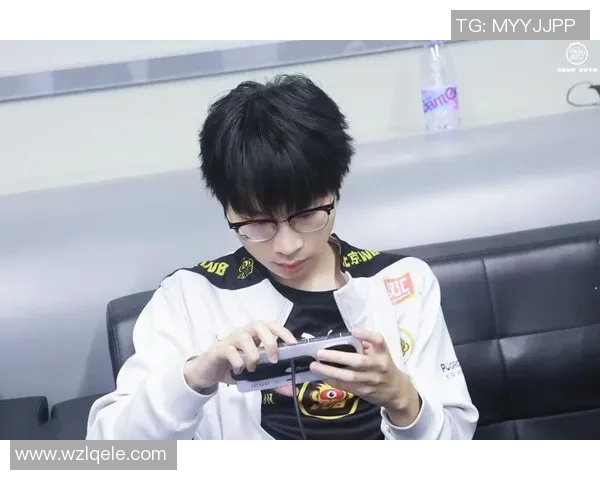 王者荣耀个人能力排名WE战队再创辉煌成就引发热议实时新闻